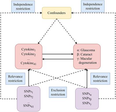 Causal associations between circulating inflammatory cytokines and blinding eye diseases: a bidirectional Mendelian randomization analysis